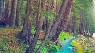 #nature 4