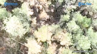 Ukrainian Soldier in the Kupyansk Forest Hit by a Barrage of Russian Grenades (15 June 2023)
