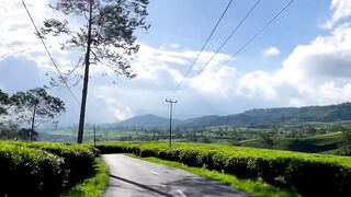 Bandung