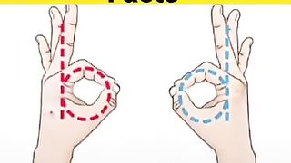 Amazing facts 44