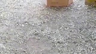 ТікТок 120