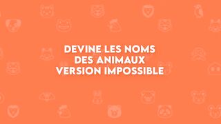 Animaux animals IMPOSSIBLE