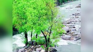 Mansehra Natural Beauty River KPK Pakistan