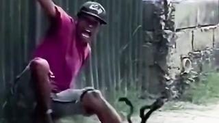 Cuidado com a Aranha kkkkk