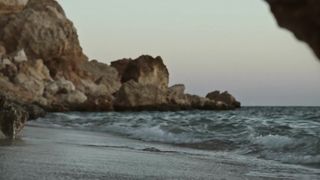 "Life's a wave, catch it!"