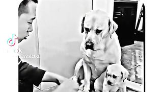 Babyhagsg
