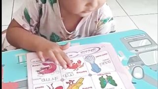 Belajar nama nama binatang