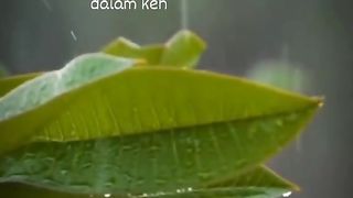 motivasi 5566