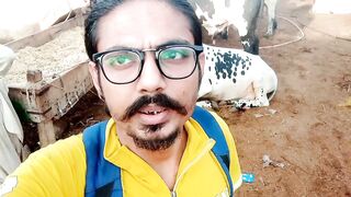 Malir mandi 2023 beautiful cow in Malir mandi