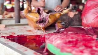 TOMOHON EXTREME MARKET