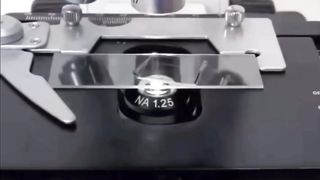 Слёзы