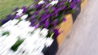 Beautiful garden https://youtube.com/@pakistanisairsapatee