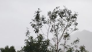 Nagarparkar Sindh Pakistan.Men tamaam Barish