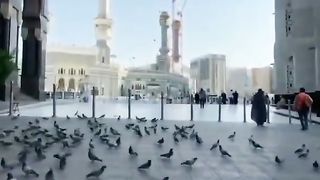video 123