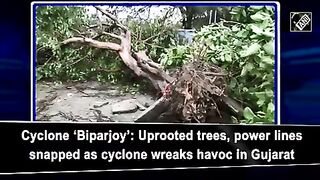 Power Outages, Houses Damaged As Cyclone Biparjoy Hits Gujarat