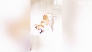 EXTREME Try Not To Laugh Challenge 2