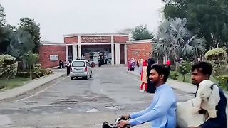 Vlog 3