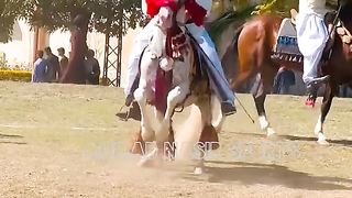 #best#of#world#beutifull#horse#DANCE