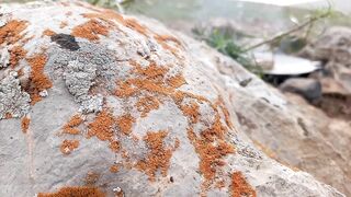 The Most Delicious STEAK Cooked in Nature Only i & you and Nature and Food