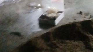 Proses pembuatan jamur tiram