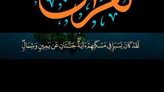 القرآن الکریم 22