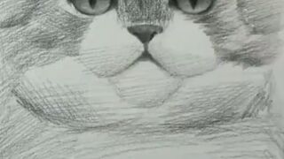 Drawing of a Cute Cat
