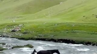 Earnwithasif 3