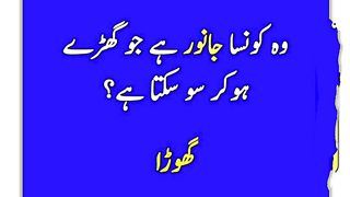 Most beautiful urdu Quotes 14