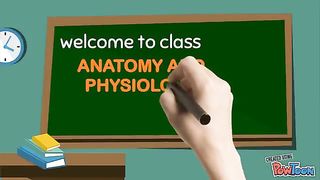 Anatomy Class- Animal Cells