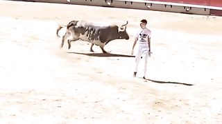 No price is too low for a bear or too high for a bull