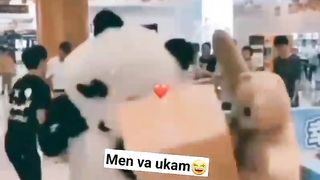 Funy vidio 3