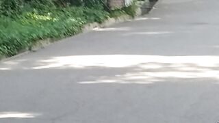 Uzbekistan Tashkent zoopark