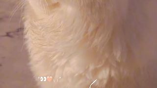 please subsc... 2