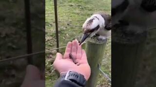 Funny Tiktok Compilation V1. #shorts #funnyshorts #funnytiktoks