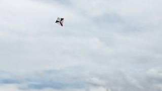 Kitefighter #23
