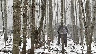 Build shelter in the forst
