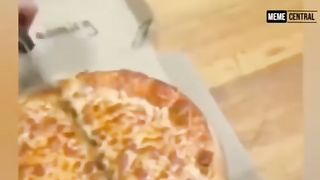 IQ level fun