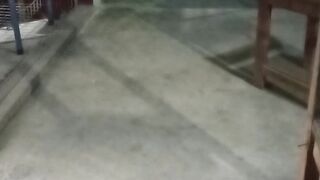 KUCING