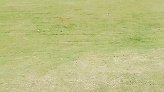 Beautiful garden https://youtube.com/@pakistanisairsapatee