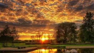 @MrJones55 #naturelover