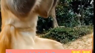 Ketika beban keluarga melanda, mabok solusinya