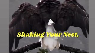 Motivation v