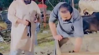 Funny video
