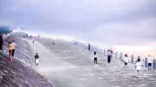 the biggest shark in the world jumps