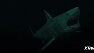 47 Meters Down Uncaged. P29