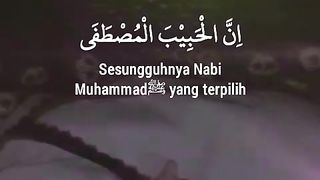 solawat 3