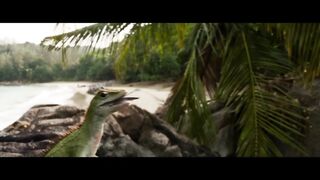 The meg 2 trails
