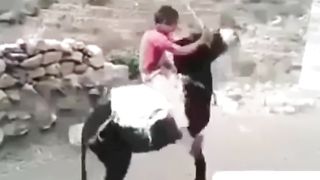 Funny Pakistani urtagrul