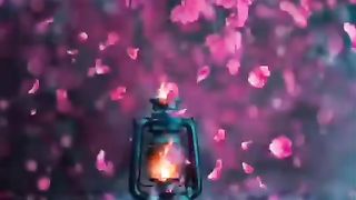 Music and nature video | burning ???? Lamp music