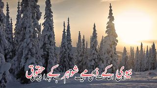 Bewi k zimme shohar ke huqooq | shohar k huqooq biwi ke zimme | بیوی کی ذمے شوہر کے حقوق